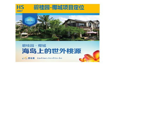 房地產(chǎn)營銷策劃 引領樓盤成功銷售的專業(yè)之道