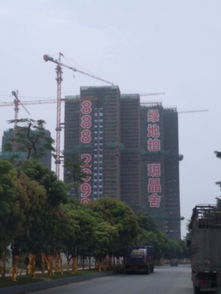 廣州樓盤策劃代理 創(chuàng)新與專業(yè)并行的房地產(chǎn)服務